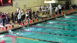 1-11-26 50 Fly Olivia lane 6, 35.29 AGC QUALIFY