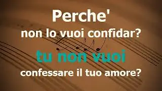 A woman in love  (karaoke)