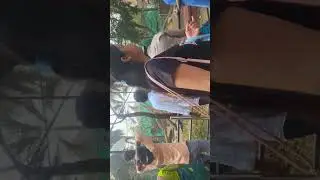 #latur #vlog #inndia #maharashtra #zoo #cricket #cr7 #haidrabadkaghatna #charminar 