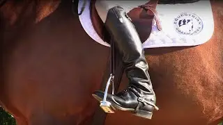 Equitation Insights Webinar