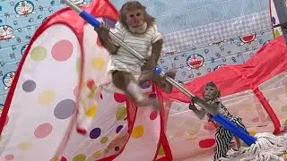 The smart monkeys that help mom clean the floor are so cute
