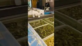 Delikatessen in Fontane Bianche