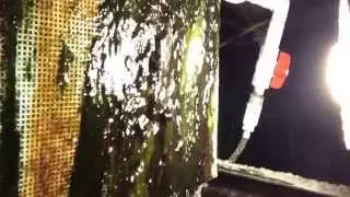 Algae Scrubber Diy build by FBR