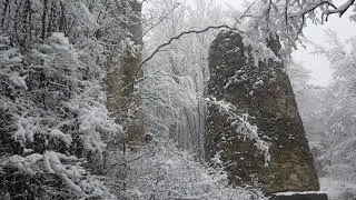 Kvetera