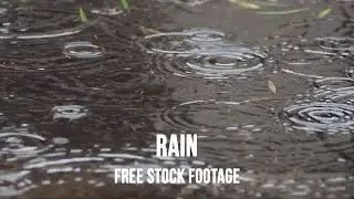 Rain HD Stock Video | Free stock footage | Free HD Videos - No Copyright | Rain Stock Footage Футаж