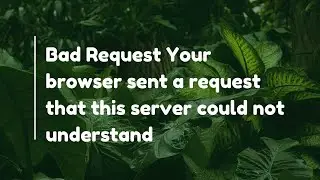 Bad Request Your browser sent a request that this server could not understand