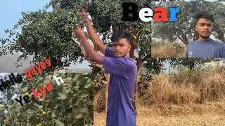 SO Gayes bear khane khaiye h 😄#viral #dailyvlog #youtube #trending #vlog #viralvideo #trending 