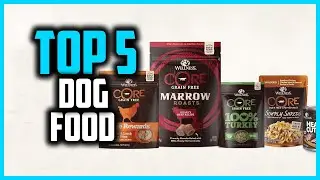✅Top 5 Best Dog Food For Labs in 2025