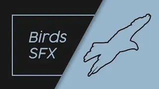 BIRDS SOUND EFFECTS PACK - FREE HQ SFX