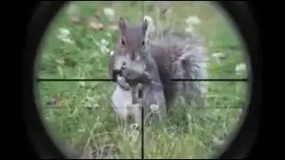 El Perrito pun pu-Thematrixpro