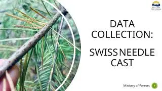 Swiss Needle Cast (SNC) Data Collection