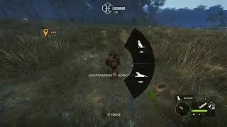theHunter Call of the Wild (Te Awaroa )(4K) RotHirsch Omg LvL 8-9-8