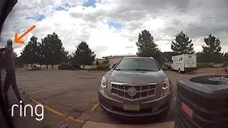 Woman Scares Off Prowler With Single Word | RingTV