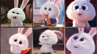 cute bunny🐰🥕cartoon all photos🍂 video wallpaper HD whatsApp dp image profile🍁❤ meena