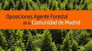 Oposiciones Agente Forestal Comunidad de Madrid | MasterD