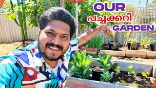 🌻 Home Gardening in Australia | ഞങ്ങളുടെ  ചെറിയ തോട്ടം