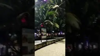 Волны на пляже город Ничанг Ветьнам