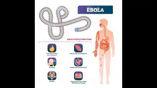 EBOLA IN CONGO & Whats ahead in INDIA ?