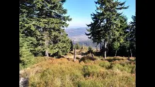 Słoneczna jesień i Góry Izerskie - połączenie idealne  🌲 Otul z Lesovika 🌲 4-letni RIS z Doctor Brew