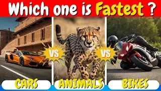 Speed Battles: Animals vs Machines | Epic Power & Strength Showdowns!