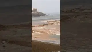 GRAN CANARIA FLOOD 🇪🇸 PLAYA de SALINETAS , TELDE ⛈️🌊 1OO mm RAIN