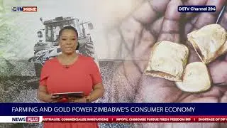 Farming and gold power Zimbabwe's consumer economy