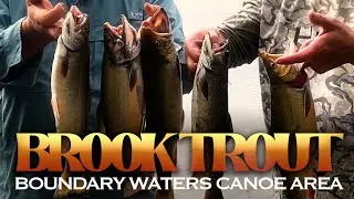 Legendary Boundary Waters Brook Trout Fishing! Secret honey hole