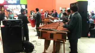 MARIMBA ECOS DE HORMIGO
