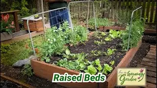 From The Learning Garden Promo