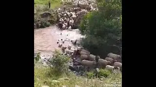 Tokat Reşadiye  kuyacak k&ouml;y&uuml;