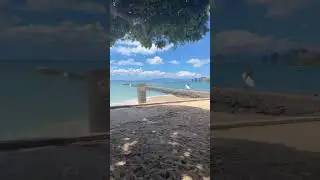 Waikiki ONEWHEEL cruising #today in #waikikibeach #relaxing