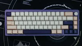 Zoom65 Build | VOD
