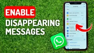 Как включить исчезающие сообщения в WhatsApp &mdash; полное руководство