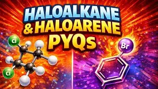 Haloalkane and Haloarene PYQs