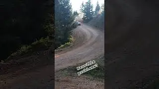 Wrc 2024 rally Acropolis Pauliani ss1 Neuville problem engine Greece #automobile #rally #wrc