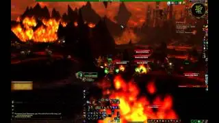 molten front pet locations