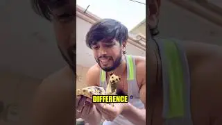 Difference 😭😭 #trending #shorts