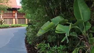 Walking from TTC to the Poly, July 2021
