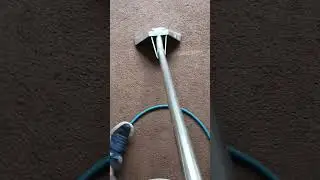 🤢 Filthy Living Room Carpet Gets an INSANE Clean in Houghton le Spring! #2025 #eco #bestrugcleaner