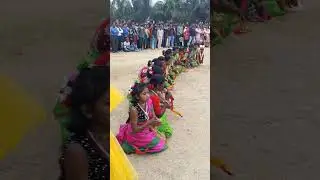 Beautiful Adivasi Folk Dance | Village Tribal Life | Trending Video