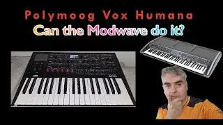 Учебное пособие по Polymoog Vox Humana на Korg Modwave
