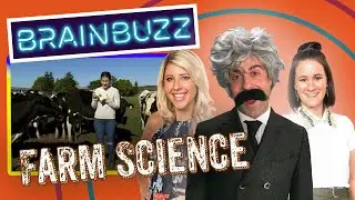 Farm Science! BrainBuzz