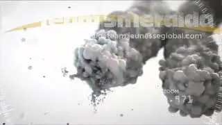 Telomeri e telomerasi
