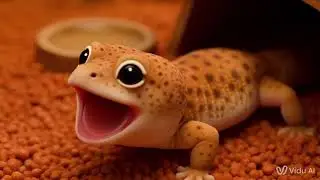 Coffee Bean the Fat-Tailed Gecko