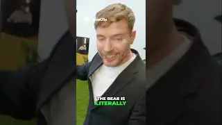 Terrified Thief vs  Money Hungry Bear  Who Wins #dangerousgames #epicfails #extremechallenges