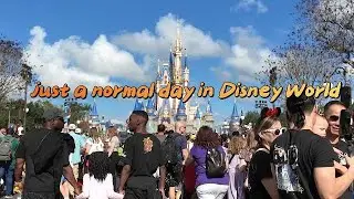 Family Fun at Disney World Magic Kingdom 🏰💖 | AR Vlog