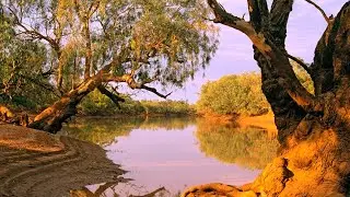 Water ownership 'should be transparent at all levels'
