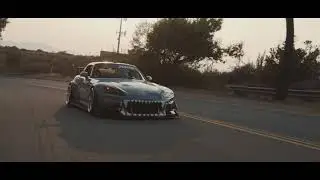 Street Shark // ALOWHA (4K)