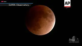 Rare Super Moon, Blue Moon and Lunar Eclipse