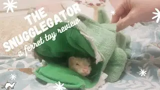 Snugglegator - A Ferret Toy Review